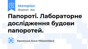 Папороті. Лабораторне дослідження будови папоротей.