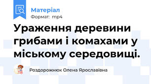 Ураження деревини грибами і комахами у міському середовищі.