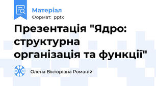 Презентація "Ядро: структурна організація та функції"