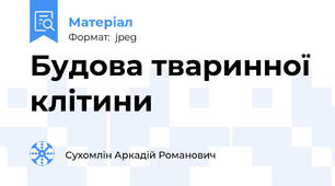Будова тваринної клітини