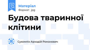 Будова тваринної клітини