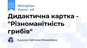 Дидактична картка - "Різноманітність грибів"