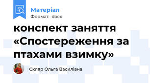 конспект заняття «Спостереження за птахами взимку»