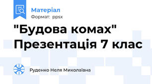 "Будова комах" Презентація 7 клас