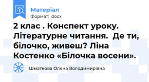 2 клас . Конспект уроку. Літературне читання.  Де ти, білочко, живеш? Ліна Костенко «Білочка восени».