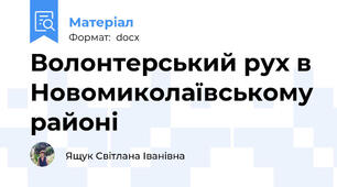 Волонтерський рух в Новомиколаївському районі