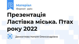 Презентація  Ластівка міська. Птах року 2022