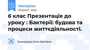 6 клас Презентація до уроку : Бактерії: будова та процеси життєдіяльності.