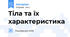 Тіла та їх характеристика