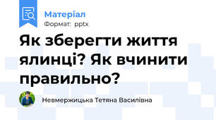 Як зберегти життя ялинці? Як вчинити правильно?