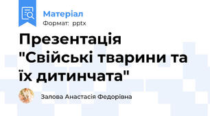 Презентація "Свійські тварини та їх дитинчата"