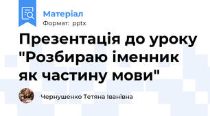 Презентація до уроку "Розбираю іменник як частину мови"