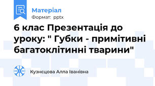 6 клас Презентація до уроку: " Губки - примітивні багатоклітинні тварини"