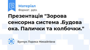 Презентація "Зорова сенсорна система .Будова ока. Палички та колбочки."