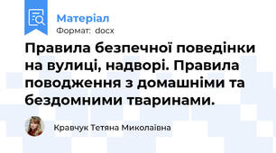 Правила безпечної поведінки на вулиці, надворі. Правила поводження з домашніми та бездомними тваринами.