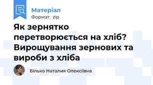 Як зернятко перетворюється на хліб? Вирощування зернових та вироби з хліба