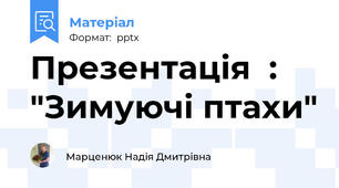 Презентація  : "Зимуючі птахи"