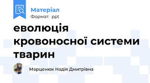 еволюція кровоносної системи тварин