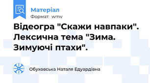 Відеогра "Скажи навпаки". Лексична тема "Зима. Зимуючі птахи".