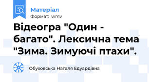 Відеогра "Один - багато". Лексична тема "Зима. Зимуючі птахи".