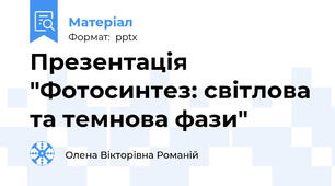 Презентація "Фотосинтез: світлова та темнова фази"