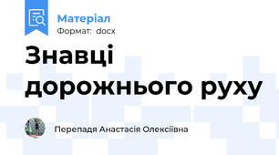 Знавці дорожнього руху