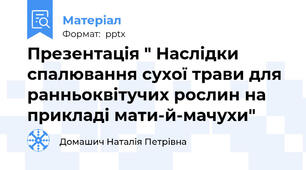 Презентація " Наслідки спалювання сухої трави для ранньоквітучих рослин на прикладі мати-й-мачухи"