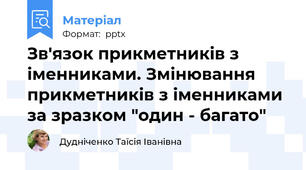Зв'язок прикметників з іменниками. Змінювання прикметників з іменниками за зразком "один - багато"