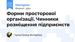 Форми просторової організації. Чинники розміщення підприємств