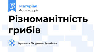 Різноманітність грибів
