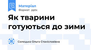 Як тварини готуються до зими
