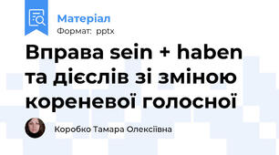 Вправа sein + haben та дієслів зі зміною кореневої голосної