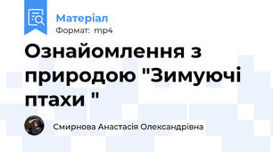 Ознайомлення з природою "Зимуючі птахи "