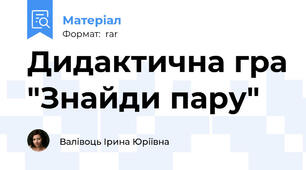 Дидактична гра "Знайди пару"