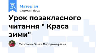 Урок позакласного читання " Краса зими"