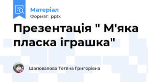 Презентація " М'яка пласка іграшка"