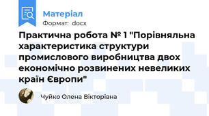 Практична робота № 1 "Порівняльна характеристика структури промислового виробництва двох економічно розвинених невеликих країн Європи"