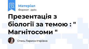 Презентація з біології за темою : " Магнітосоми "