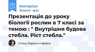Презентація до уроку біології рослин в 7 класі за темою : " Внутрішня будова стебла. Ріст стебла."