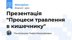 Презентація "Процеси травлення в кишечнику"