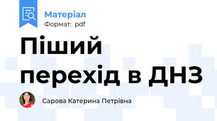 Піший перехід в ДНЗ