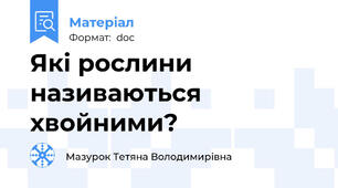 Які рослини називаються хвойними?