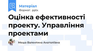 Оцінка ефективності проекту. Управління проектами