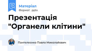 Презентація "Органели клітини"