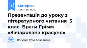 Презентація до уроку з літературного читання  3 клас  Брати Грімм «Зачарована красуня»