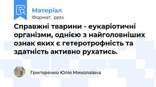 Справжні тварини - еукаріотичні організми, однією з найголовніших ознак яких є гетеротрофність та здатність активно рухатись.