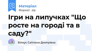 Ігри на липучках "Що росте на городі та в саду?"