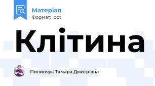 Клітина