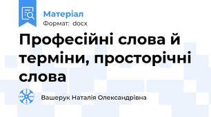 Професійні слова й терміни, просторічні слова