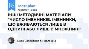 ІНШІ МЕТОДИЧНІ МАТЕРІАЛИ "ЧИСЛО ІМЕННИКІВ. ІМЕННИКИ, ЩО ВЖИВАЮТЬСЯ ЛИШЕ В ОДНИНІ АБО ЛИШЕ В МНОЖНИНІ"